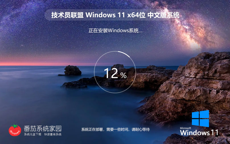 技术员联盟win11 23H2专业版 x64位下载 ghost镜像 笔记本专用下载 v2023