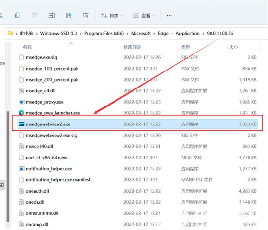 win11自带edge无法运行怎么办 无法打开Edge浏览器解决方法