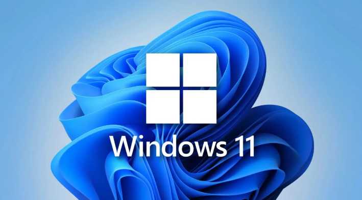 20230629374067.png win11家庭版和专业版的区别是什么?win11专业版和家庭版哪个好用?