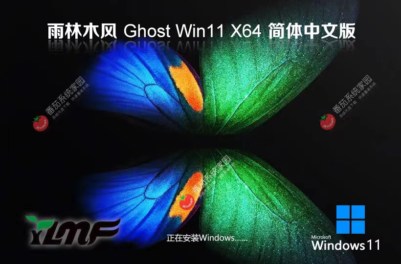 雨林木风win11纯净版下载 免激活工具 x64位系统下载 GHOST镜像