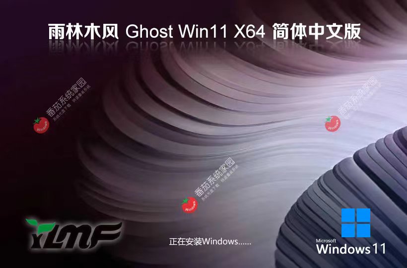 雨林木风Windows11下载 64位纯净版下载 ghost镜像 免激活工具 v2023