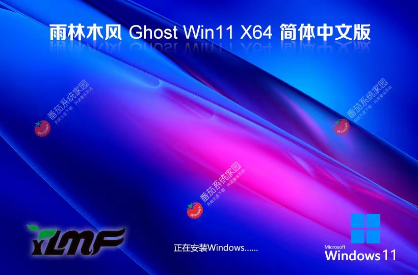 雨林木风x64通用版下载 Windows11游戏专用系统 ghost系统下载 戴尔笔记本专用
