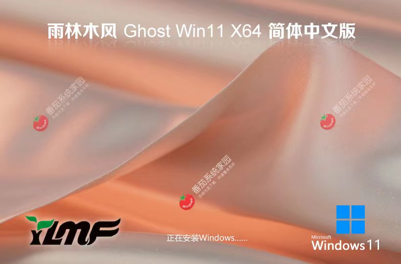 雨林木风x64游戏版 win11无忧全能版下载 ghost镜像 免激活工具下载