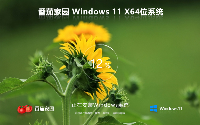Windows11全能特快版下载 番茄花园娱乐版 x64位系统下载 笔记本专用