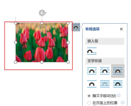 word图片只显示一小条怎么办 WPSword图片只显示一小条解决方法
