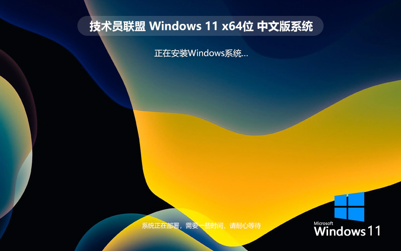 技术员联盟64位改良版 win11旗舰版下载 ghost镜像 惠普电脑专用下载