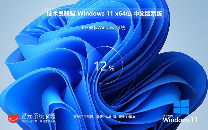 win11超级通用版下载 技术员联盟64位企业版 官网镜像下载 永久激活