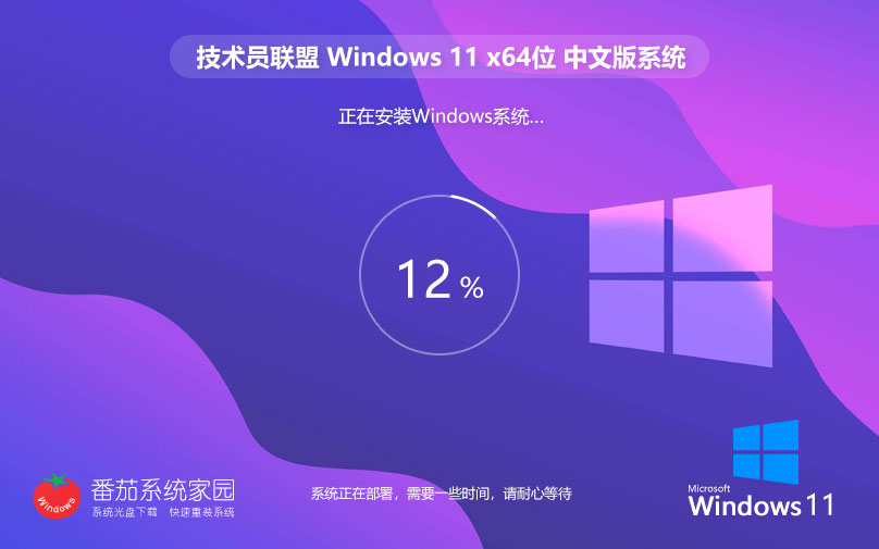 Windows11娱乐版下载 技术员联盟64位系统 永久免费 官网镜像下载