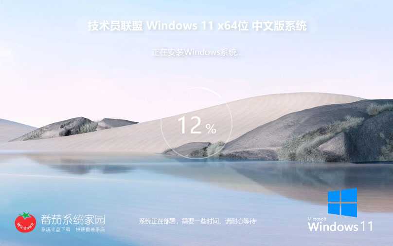 技术员联盟win11家庭版 x64位增强版下载 无需激活码 iso镜像下载