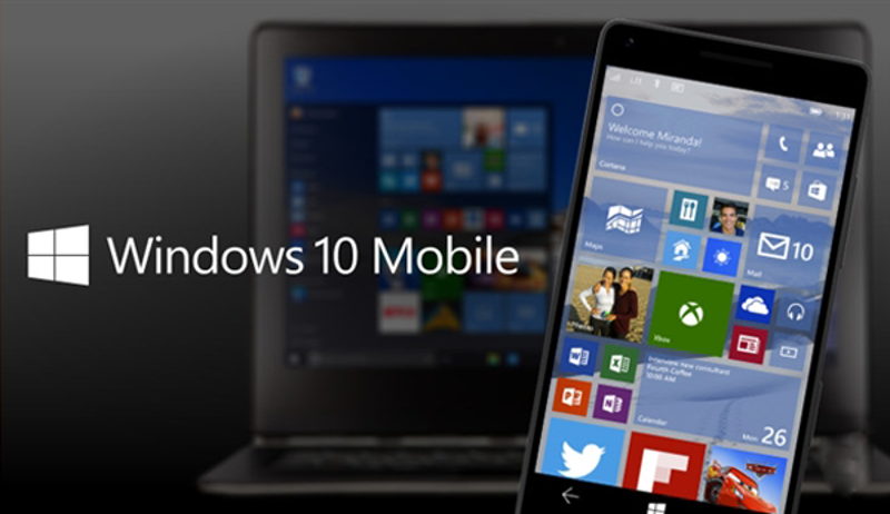 如何优化Win10系统dll文件以提高性能?