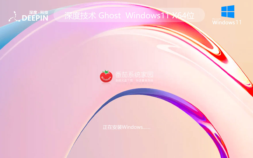 windows11企业版下载 深度技术64位预览版 戴尔笔记本专用下载 ghost镜像