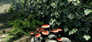 上古卷轴5：天际x3daudio1_7.dll文件丢失如何恢复？