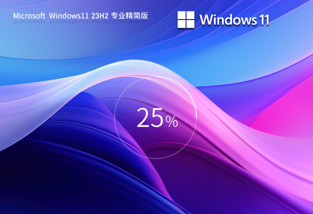 系统之家 Win11 23H2 64位 专业精简版 V2023 