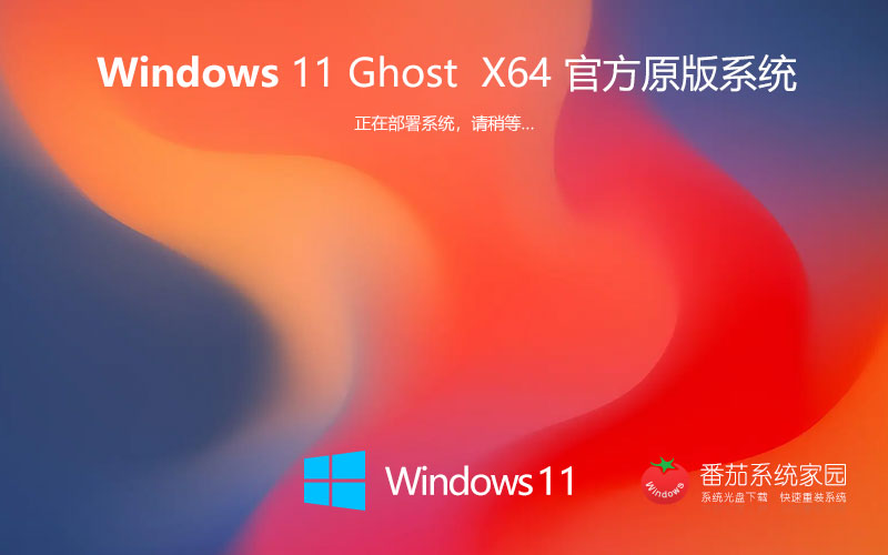  微软 Win11 64位 22H2开发版 专业版装机版系统