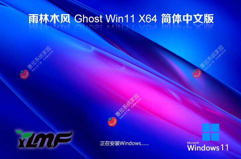  雨林木风win11 64位 22H2 新机特速版