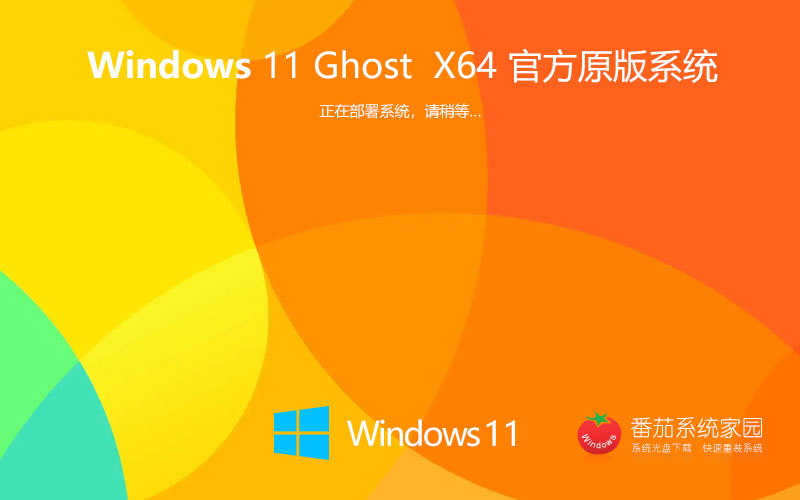 Windows11 22H2 最新官方正式版 