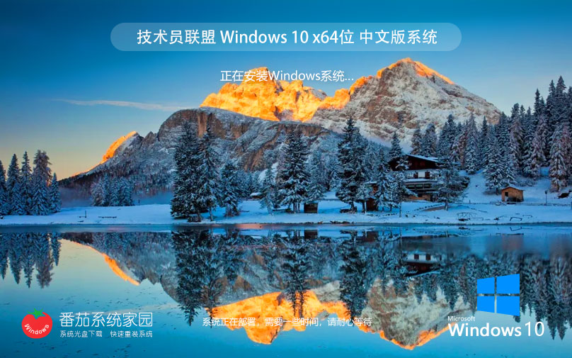 【安全防护】技术员 Win10 22H2 64位 专业安全版ISO镜像