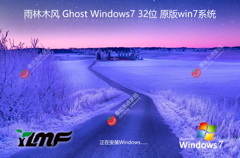 笔记本专用 Win7 SP1 32位 居家办公版