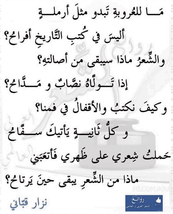 试完这几个工具 我后悔大学念早了