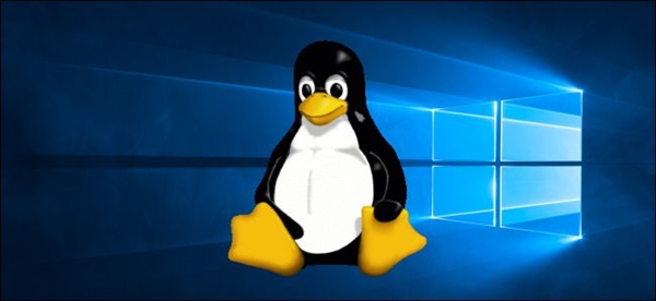 逼近Windows！Linux游戏性能实测：不再是短板