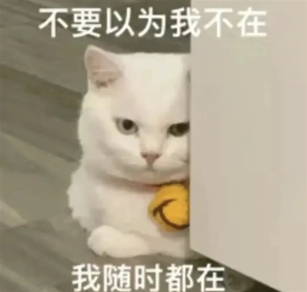 淘宝这一波更新 压力来到了我的钱包