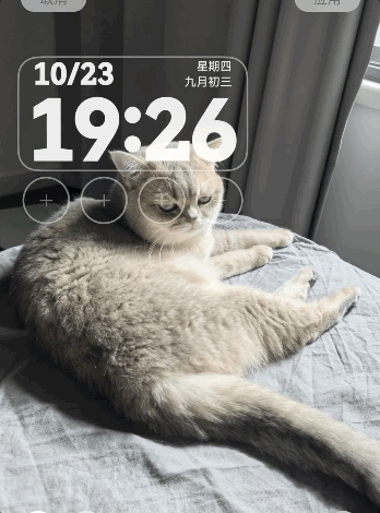 到底是谁在用鸿蒙 体验完鸿蒙6我懂了