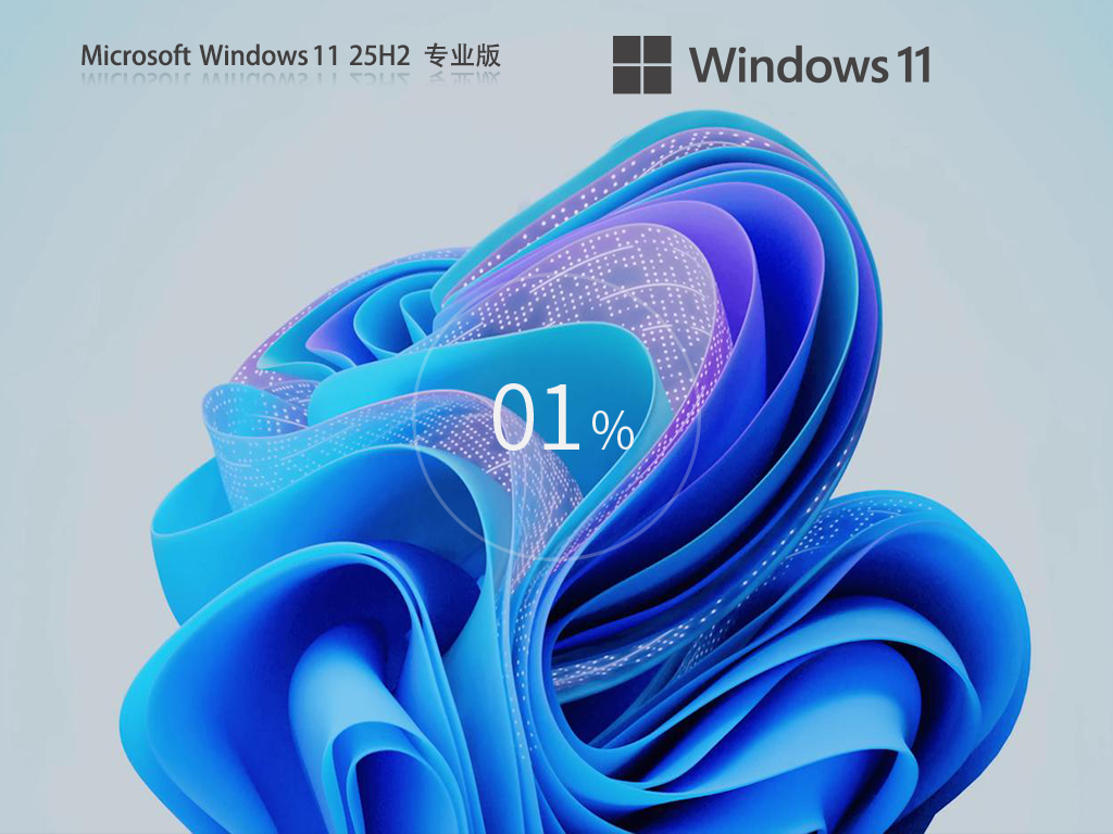 Win11 25H2 64位专业版系统 Win11 25H2 64位专业版系统