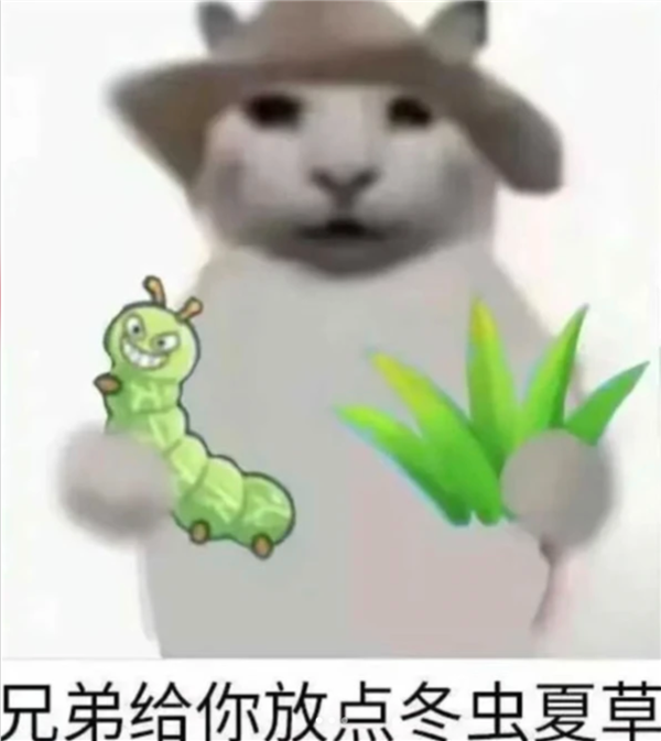 QQ农场回归 大偷菜时代2.0来临了