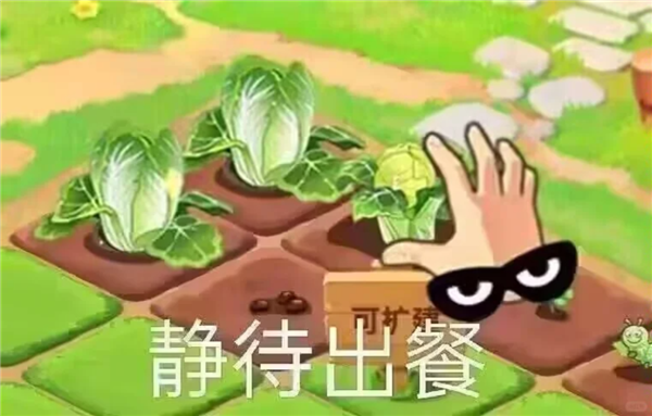 QQ农场回归 大偷菜时代2.0来临了