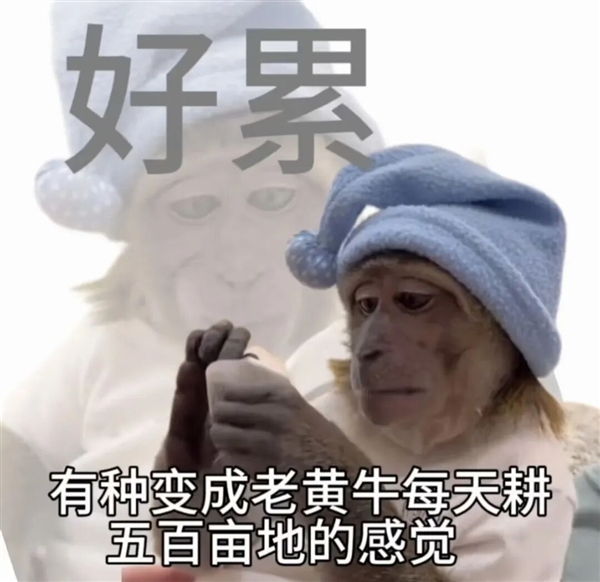 AI提高了我的生产力 但我更累了