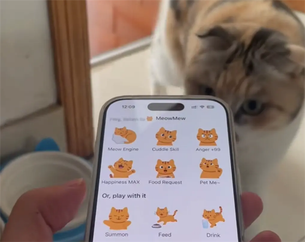 两人用千元做出&ldquo;猫咪召唤器&rdquo;：登顶付费榜后用户猛增500倍