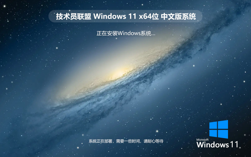 技术员联盟Windows11 64位 最新专业版 技术员联盟Windows11 64位 最新专业版