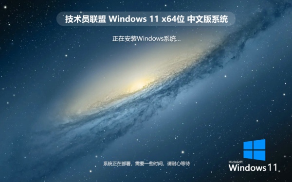 技术员联盟 Windows11 25H2 64位 专业版