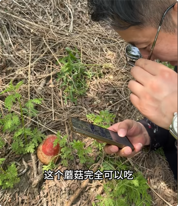 多人被AI误导 食用毒蘑菇进ICU 疾控部门提醒