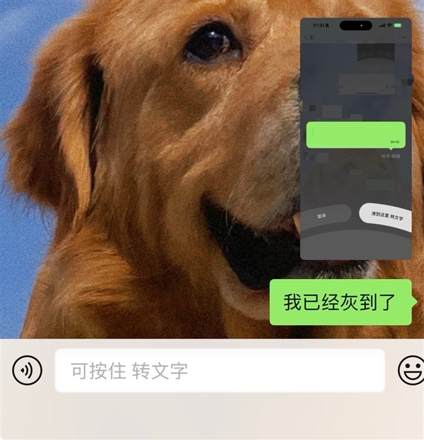 iPhone率先尝鲜!微信测试按住转文字新功能:有网友感觉不习惯