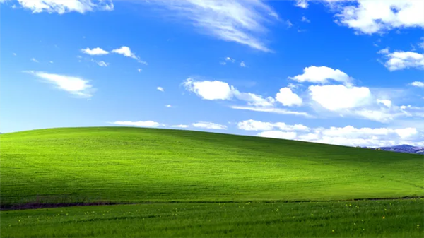 不是后门是事故！Windows XP最火盗版密钥真相：微软自己泄露的