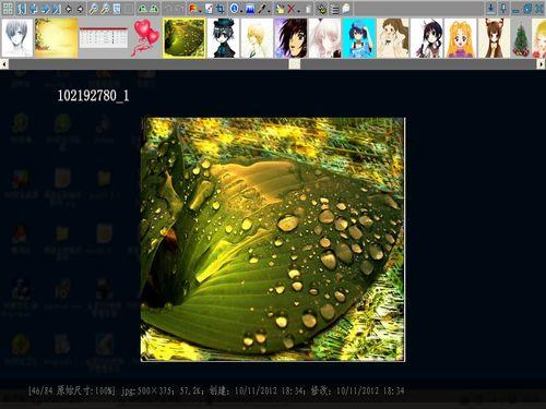 bkViewer 照片浏览器截图