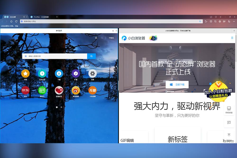 小白浏览器截图