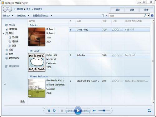 Windows Media Player截图