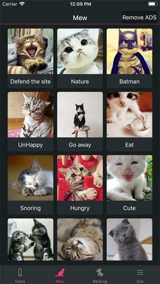 狗猫语翻译器 · 人猫交流器手机版截图