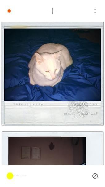 PLOT相机app截图