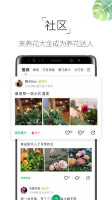 养花大全