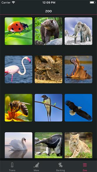 狗猫语翻译器 · 人猫交流器手机版截图