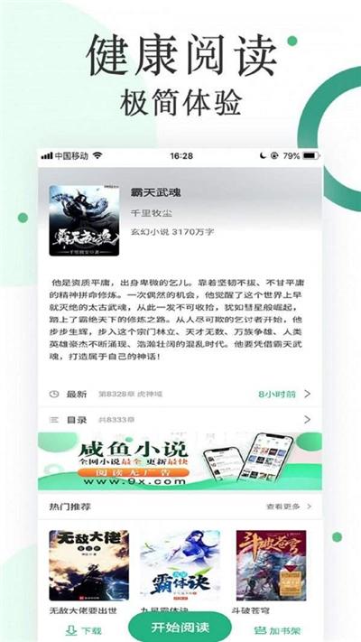 咸鱼小说