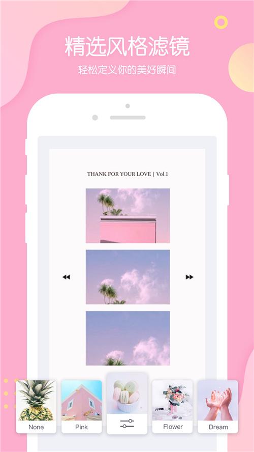PINS截图