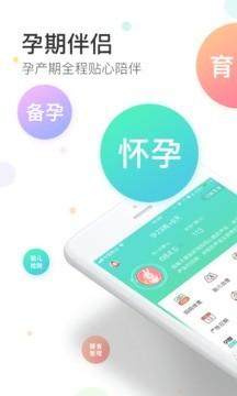 孕期伴侣