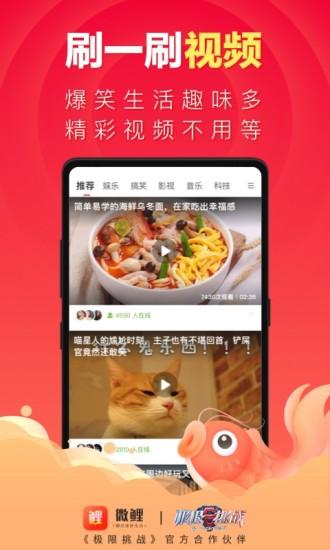 微鲤app截图
