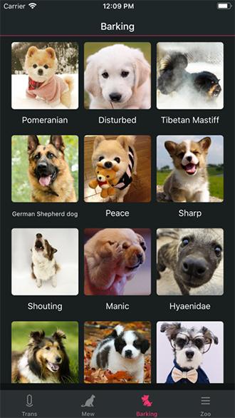 狗猫语翻译器 · 人猫交流器手机版截图