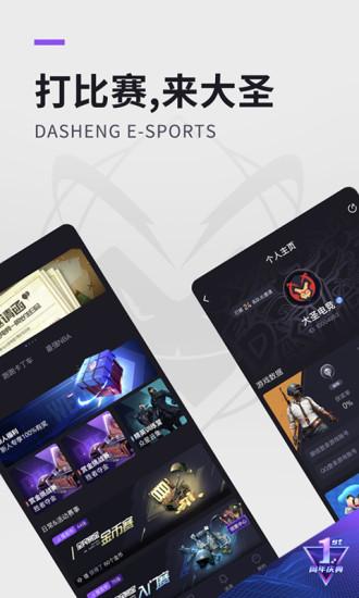 大圣电竞截图