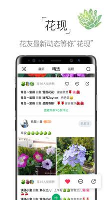 养花大全